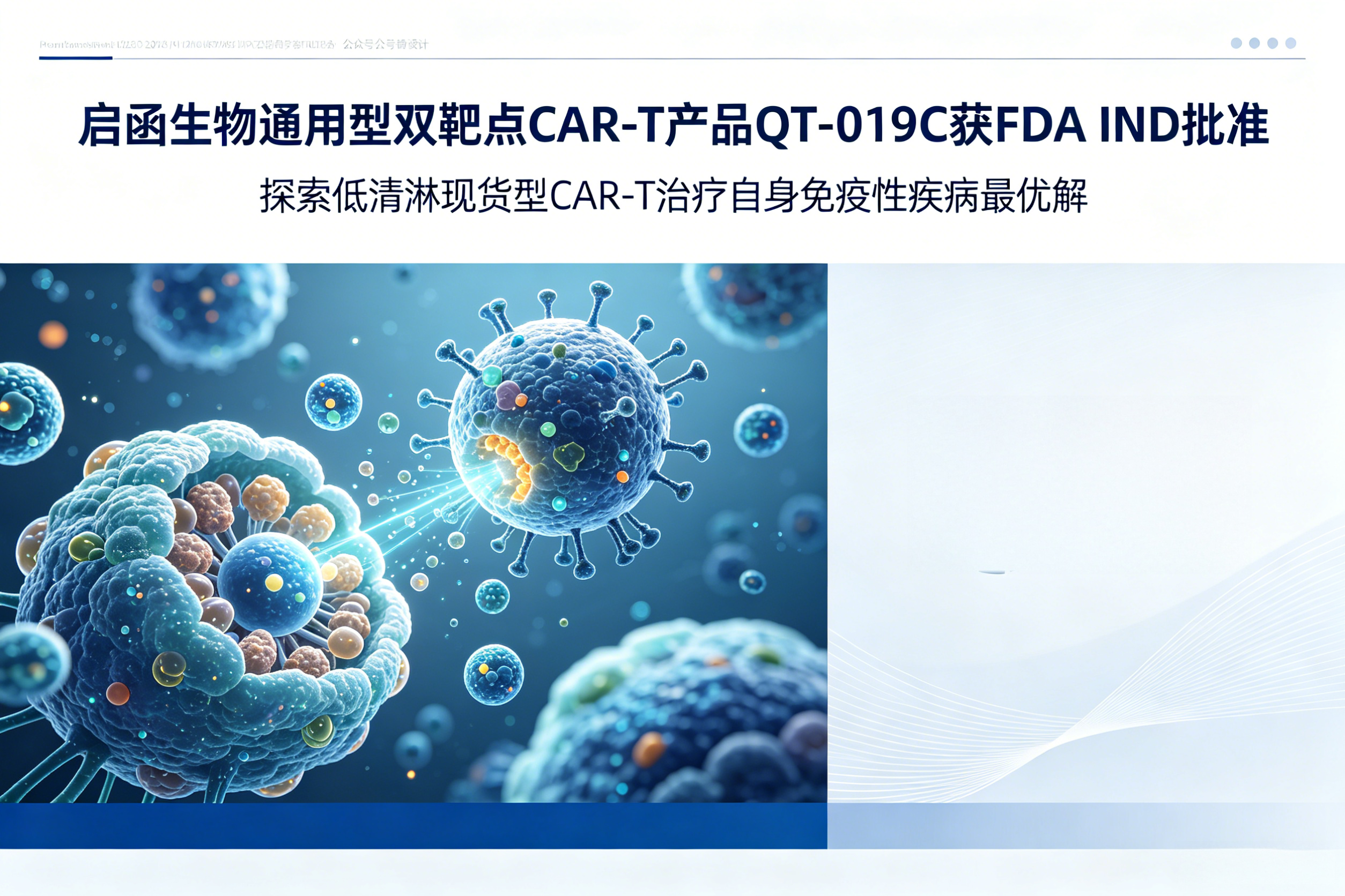 启函生物通用型双靶点CAR-T产品QT-019C获FDA的IND批准，探索低清淋现货型CAR-T治疗自身免疫性疾病最优解