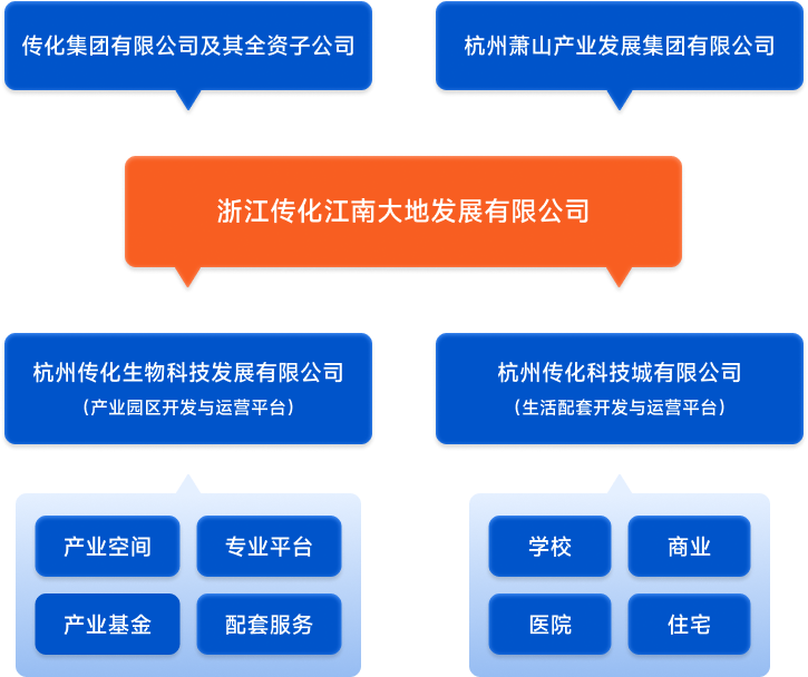 公司介绍